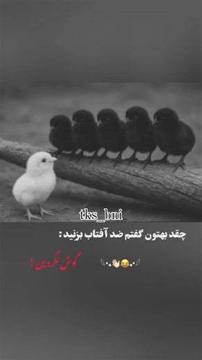 tks_bni on Instagram: "2001년 개봉한 영화 “A Beautiful Mind”는 단순히 천재 수학자의 삶을 다룬 작품이 아니라, 인간이 내면의 혼란 속에서도 어떻게 사랑과 신뢰로 자신을 되찾아가는지를 보여주는 깊은 이야기입니다. 화려한 계산 장면보다 존 내쉬가 마음속 그림자를 이겨내려는 순간들이 훨씬 더 오래 기억에 남죠. 특히 그가 현실과 환상 사이에서 흔들리면서도 끝까지 아내를 향한 마음을 놓지 않는 모습은 묘하게 가슴을 저릿하게 만듭니다. 이 영화에서 감정을 완성시키는 요소는 바로 잔잔한 피아노 선율과 차분한 배경음악입니다. 처음에는 조용히 스며들지만, 어느 순간 관객도 모르게 내쉬의 감정에 같이 잠기게 되죠. 후반부, 아내가 내쉬의 손을 잡아주던 장면에서는 음악과 화면이 자연스럽게 겹쳐지면서 눈시울이 뜨거워지는 경험을 하게 됩니다. 많은 이들이 “이 장면만 떠올려도 이상하게 마음이 찡하다”고 말하는 이유도 그 때문일 겁니다. 이 영화가 여러 상을 휩쓴 건