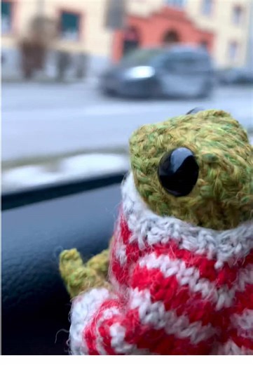 Yay! Today a new adventure awaits me, I'm so excited! #frog #froggy #adventurefrog #frogtok #frogs