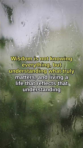 Daily Wisdom Quote #shorts #motivation