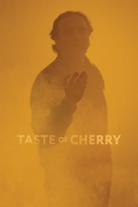 Stream Taste of Cherry (1997): Find it on Netflix, Prime Video, Hulu & more