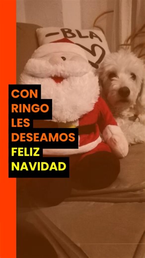 FELIZ NAVIDAD SUBLIMADORES