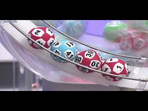 六合彩 - 133期 2025年12月25日