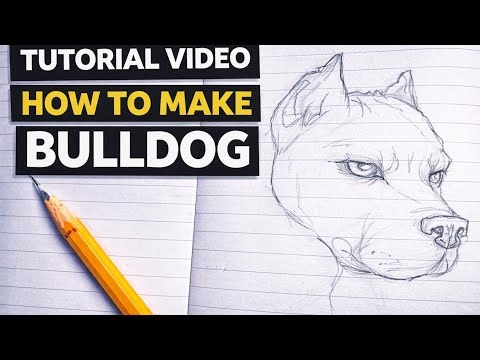 How to draw bulldog tutorial video