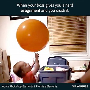 4.6K views · 50 reactions | Like a boss. | Adobe Photoshop Elements & Premiere Elements | Facebook