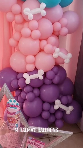 Skye and Everest Paw Patrol Birthday Decorations