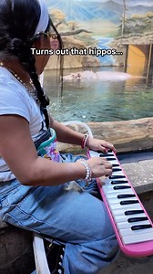 I love hippos the hippos at Adventure Aquarium! I brought my melodica to entertain them. It turns out that hippos love music! Button the hippo turned to watch me while I was playing the song Married Life. This is a short clip of my entire hippo concert. They are so cute! #animals #cuteanimals #animal #cute #hippo #hippopotamus #music #musician #melodica #adventureaquarium #interesting | Zoe Erianna