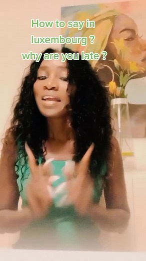 Apprenons ensemble le luxembourgeois 👍 🇱🇺#learnlanguages #letzebuergtiktok #learnluxembourgish #traduction #languages #luxembourg