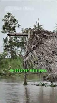 El Niño: First effects begin to be felt in Southern Brazil