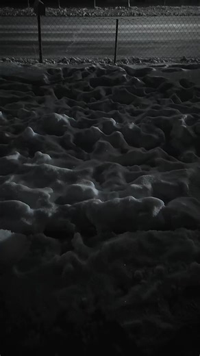 Exploring the Beauty of Winter Snow