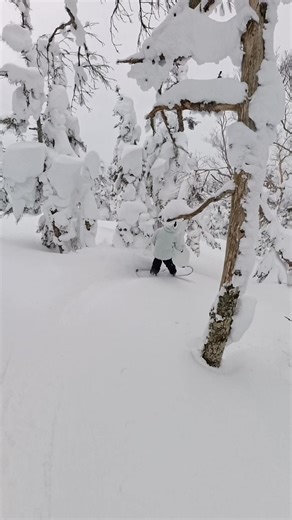 Looking for the next secret spot in Japan? Get off the beaten track and explore more of Japan with Mint Tours. Get in touch soon to lock in your 2025 adventure! | Mint Tours