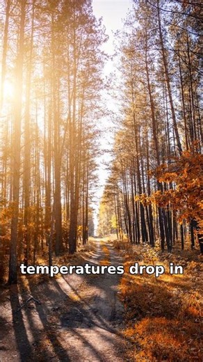 Why Do Leaves Change Color? The Science of Autumn Colors