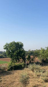 3.9K views · 56 reactions | Tamne gam game k shaher ?#villagelife #village #villagelifestyle #citylife | Patel Niravkumar | Facebook