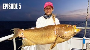 MERMAID TAIL GROUPER 🧜‍♀️ Scamp Grouper at Pulley Ridge ⛴ Yankee Capts EP.5 Night 2 of our Pulley Ridge Yankee Capts Pulley Ridge trip and the fish brain started to kick in but the excitement was still too real to stop fishing! 🎣 We had mahi mahi, flying fish, plenty of groupers and even little finches coming to visit us this night 🐦 Emily even catches her first scamp grouper, which was a first for the Gale Force Twins as well! Check out our latest series: Fishing at PULLEY RIDGE | Yankee Cap