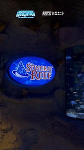 Huge thanks to The Downtown Aquarium for having us! 🐠🎡 We had an absolute blast — the food, the atmosphere, the exhibits, the rides — everything was awesome! 🙌 📍410 Bagby St, Houston, TX 77002 🌐 downtownaquariumhouston.com This live broadcast was part of our Summer Circuit, and if you come out to one of our stops, you could sign up for a chance to win 2 E-Bikes (a $4,000 value!) 🚴‍♂️💨 Want to know where we’re headed next? Head to 👉 espn975.com/summer Last stop: Kemah Boardwalk — and we’r