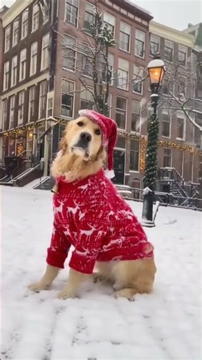 Cute & Creative Christmas Celebration Ideas!