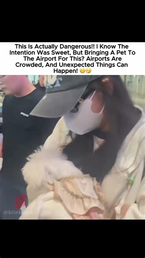 Putting such a delicate dog in jisoo's hands? 🫩 #jisoo #지수 #blackpink #블랙핑크