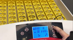 YZ-42S HHD Mini Egg Incubator with Temperature Controller CE Approved 42-Egg Capacity