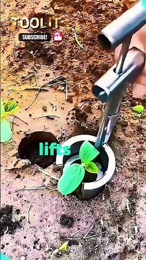 Manual Planting Techniques | Traditional Hand Planting for Healthy Growth