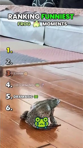 Ranking Funniest Frog Moments #frog #pet #funny #fail