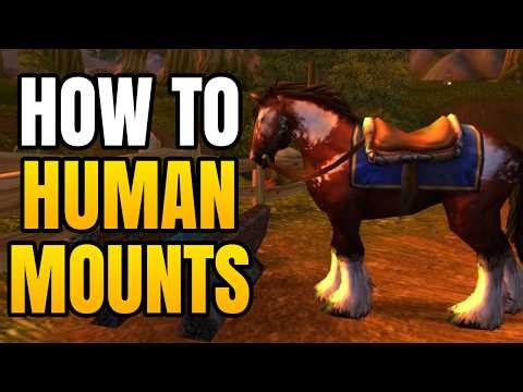 Human Mount Vendor And Trainer Location In World Of Warcraft Classic | Learn Riding As Human In WoW