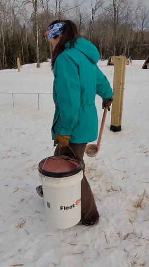 Cece feeds the sled dogs. We feed at the end of the day when all of our runs are done. The dogs get a heavy dose of calories and hydration to replenish their stores. Sled dogs are athletes, this diet won't work for domestic pets. #workingdogs #mushing #iditarod #alaskanhusky #dogsledding #dogfood | Endurance Kennels LLC
