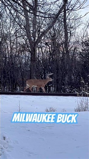 MILWAUKEE MONSTER ON THE TRACKS