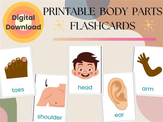 Body Parts Flashcards for Kids - 21 Printable Anatomy Cards - Preschool & Kindergarten Learning - Digital Download - Etsy