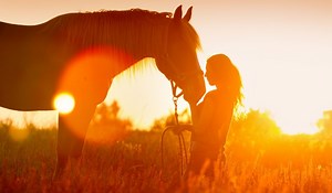 21 Celebrities that Own Horses