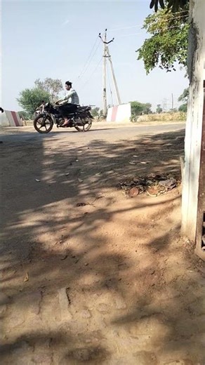 Status Dog Ajj ki date me chira