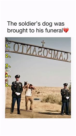 Brings tears to my eyes every time 📽️: Dog (2022) With a dog named Lulu by his side, Army Ranger Briggs races down the Pacific Coast to make it to a soldier’s funeral on time. Along the way, Briggs and Lulu drive each other completely crazy, break a handful of laws, narrowly evade d*ath, and learn to let down their guards to have a fighting chance of finding happiness. 📺: Tubi, Netflix, Apple TV #cute #wholesome #sad #emotional #emotions #feelings #cry #heartfelt #motivation #thoughts #motivat