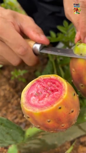 Wonder How To open This #fruit #frootworld #fruitgarden | Froot