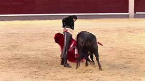 Madrid's matadors burst back into the bullring