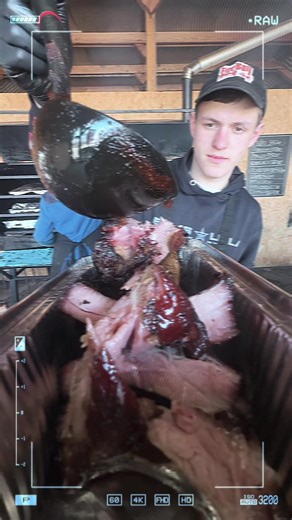 рубрика «Мʼясник дай мʼяса» #bbq #fyp #мясо #бочка #pyf