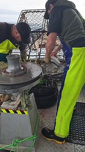 Cod Potting! It's hard mahi but it pays the bills was awesome to see how these guys operate much respect to all the commercial guys on the chathams they work hard but respect they're fishery. #mahi #codpots #fishing #potting #mahikai #comercialfishing #gather #provide #bluecod | Blokes Can Cook Too