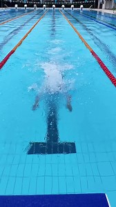 3.4K views · 116 reactions | Australia's most decorated Olympic athlete in slow motion. Poetry in motion Emma McKeon  Speedo Australia New Zealand | Swimming Australia | Australian Olympic Team | Facebook