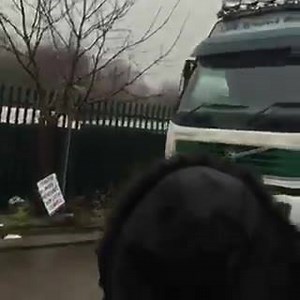 Animal Save Movement on Reels