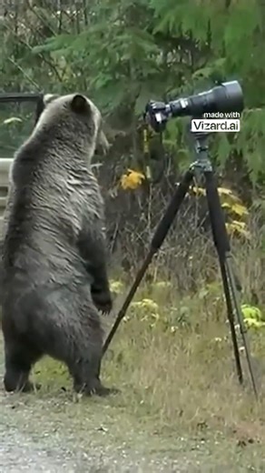 Amazing Wild Animal Encounters