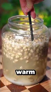 Homemade Soy Sauce Recipe Made Easy #shorts