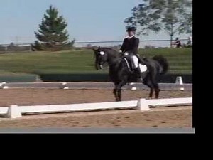 FEI dressage Arabian Grand Prix National Champion, KB Omega Fahim++++//