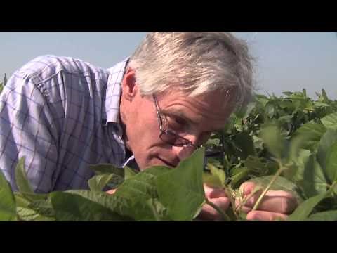 A Student's Guide to Careers in Plant Breeding