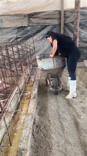 Pig Care Secrets That New Farmers Don’t Know #PigCare #BeginnerFarmer #FarmHacks