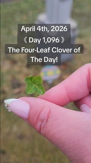 Day 1,096- Finding a Four-Leaf Clover Consecutively.🍀 #fourleafclover #nature #plants