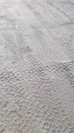 Car Lineup Showcases Size Difference