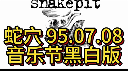 Slash's Snakepit 蛇穴 SLASH 95年7月08 音乐节 黑白版