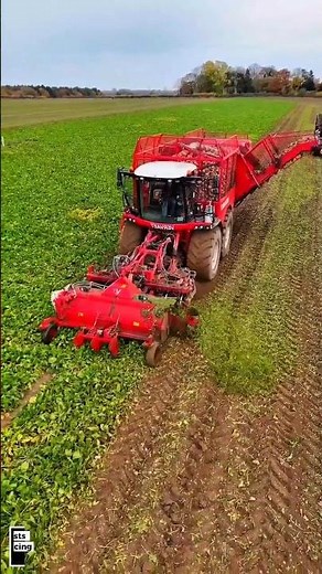 Modern Potato Harvesting with Advanced Machinery: Efficiency and Maximum Yields