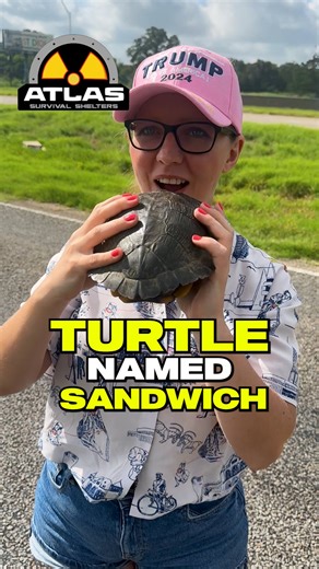 Turtle Named Sandwich | Atlas Survival Shelters