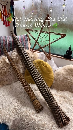 Geet Fateh Kaur✨Macipã Huni Kuī 🐍 on Instagram: "🌿 Not Weaving…But Still Deep in Willow 🌿 I’m not weaving willow today… but I am very much with it 😃 I’m drying buff willow left over from previous projects, tending it carefully so it can be stored and used again in the future. 🧺 Part-made baskets are soaking, becoming soft and pliable once more, ready for basketry class tomorrow. 🧺 🧺 🧺 More willow is bathing too 💧 preparing itself for my next solo projects. 🤩 And in between it all, I’m 
