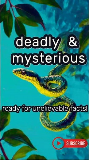 Yellow-bellied Sea Snake: The Yellow-bellied Sea Snake that Rules the Ocean! #uniquefacts #facts