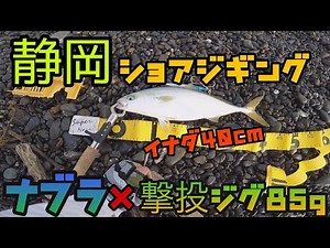 【静岡三保サーフ】夏の終わりにサーフでジギング！ナブラ発生で、イナダGET！