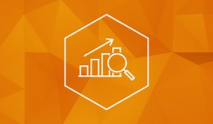 Clarity Human Services: Introduction to Reports